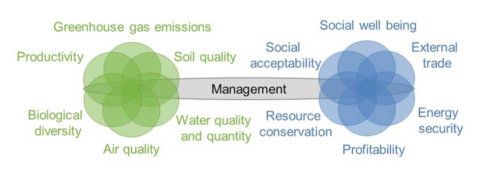 Bioenergy indicators 