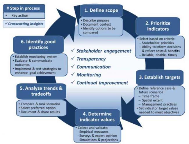 biostar processes diagram